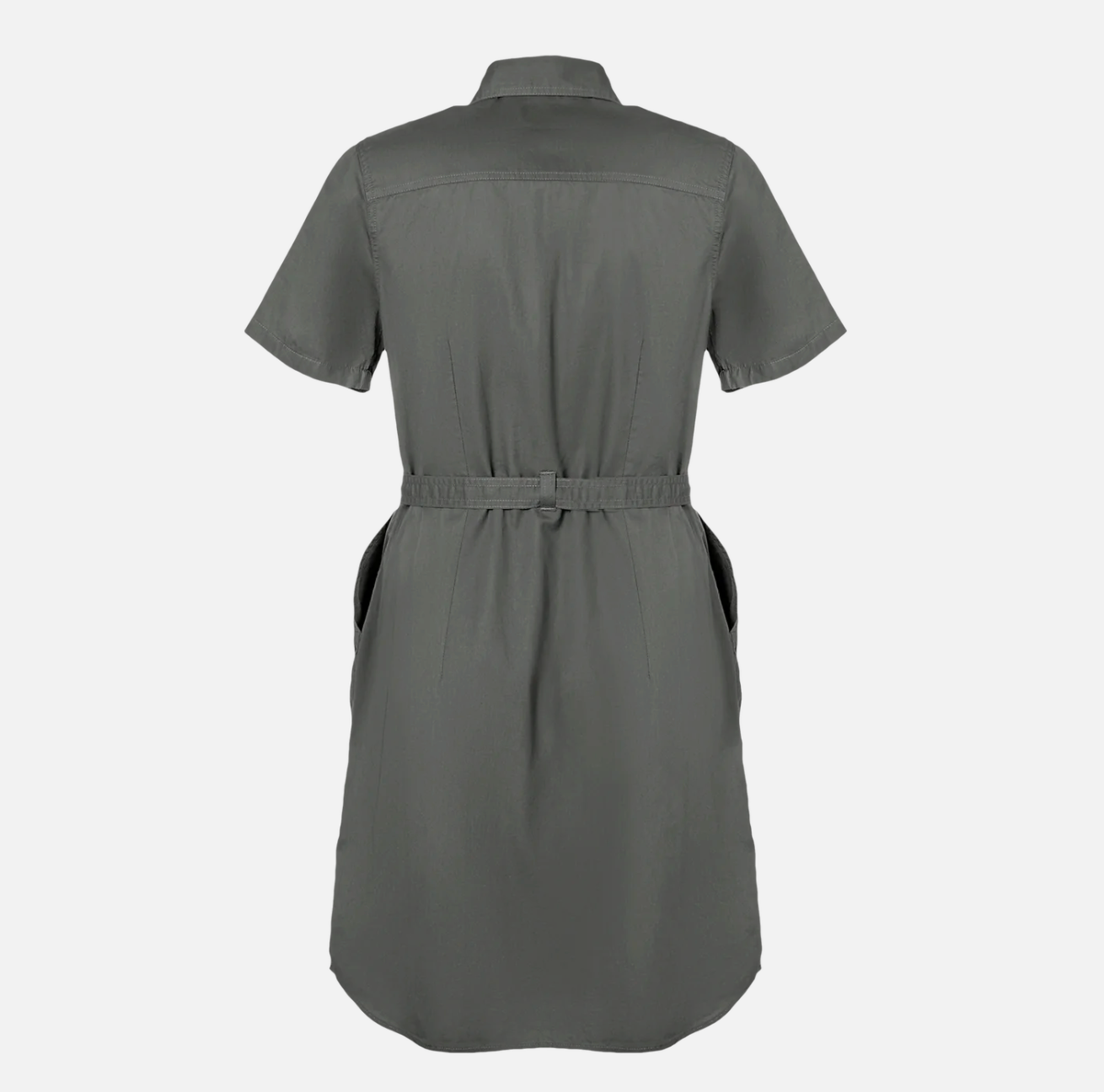 Belted Work Dress