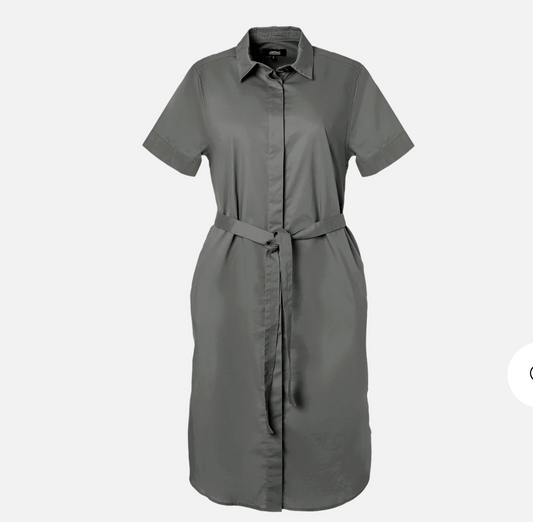 Pleated Poplin Dress