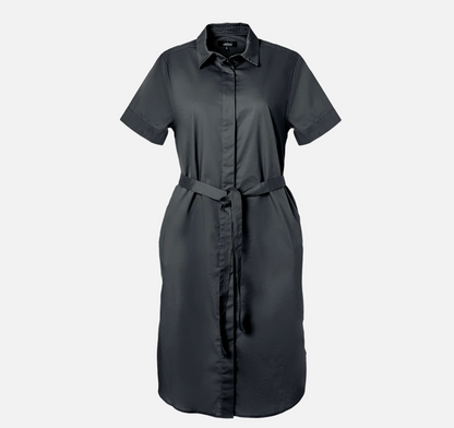 Pleated Poplin Dress