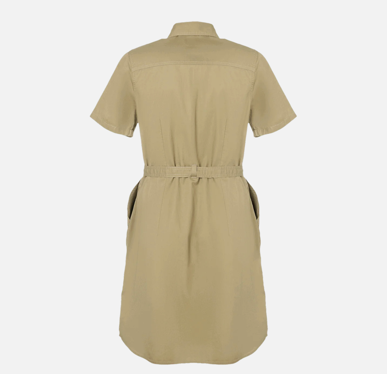 Belted Work Dress
